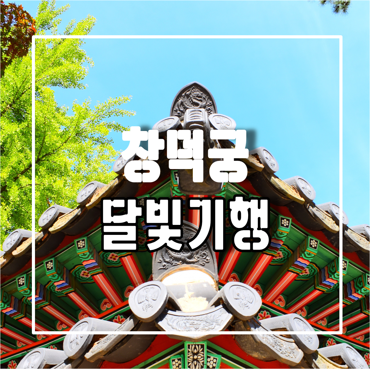 창덕궁 곳곳의 숨은 옛 이야기를 들을 수 있는 창덕궁 달빛기행 일정 및 장소