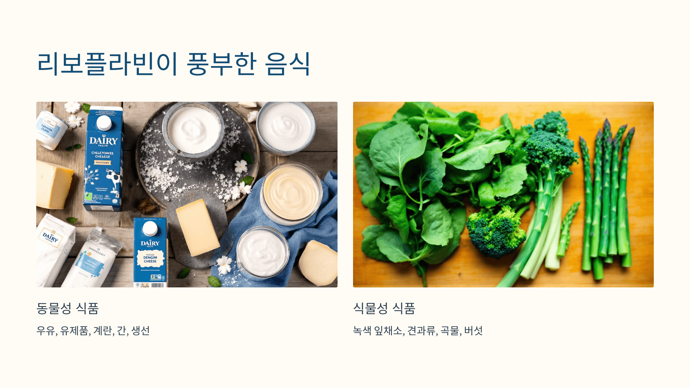 리보플라빈과 관련된 사진입니다.