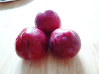 자두 보관법 수확시기 효능 자두청 만들기_9