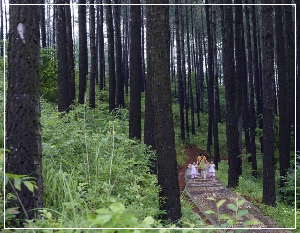 광양 가볼만한곳 베스트10 백운산 자연휴양림