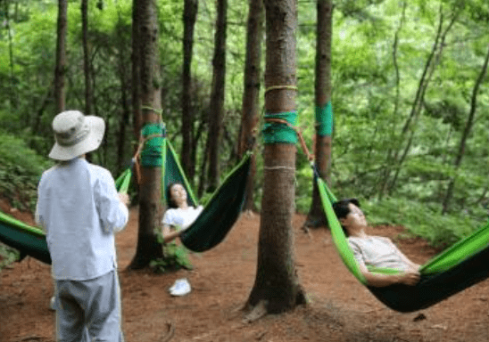 국립산림치유원 예약, 할인, 환불