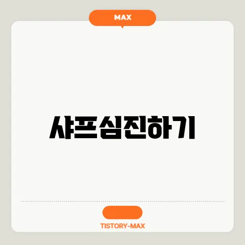 샤프심진하기