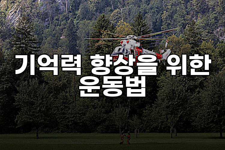 기억력 향상을 위한 운동법