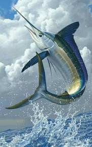 물위로-뛰어오른-청새치