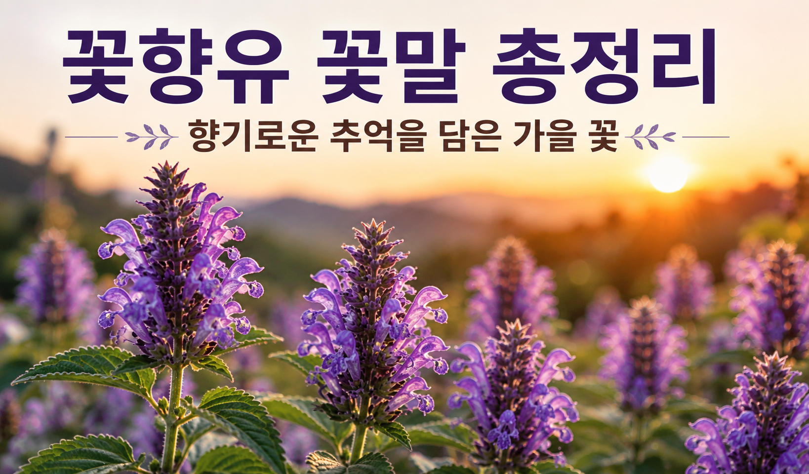 꽃향유 꽃말