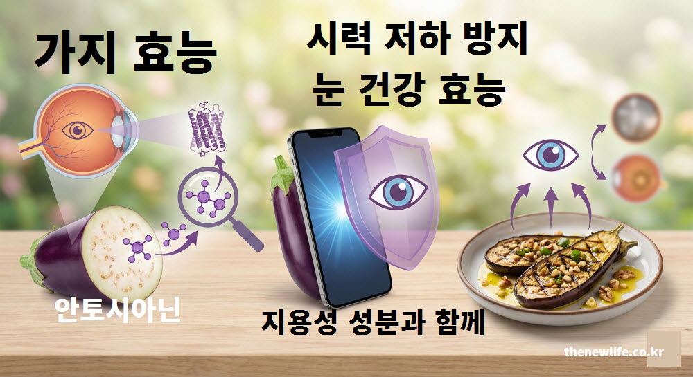 시력 저하 방지 및 전반적인 눈 건강에 도움을 주는 가지 효능 설명 이미지