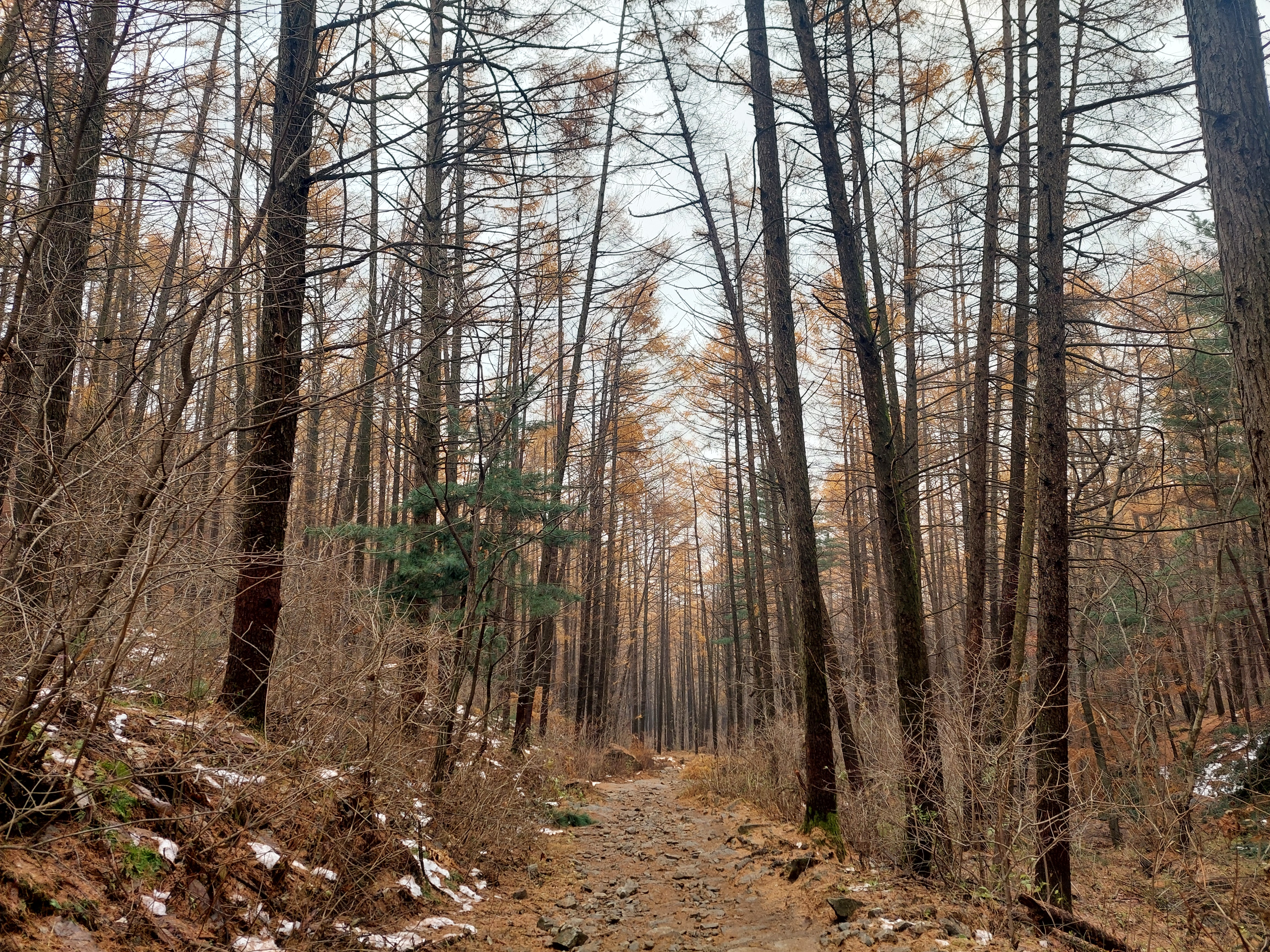 검단산