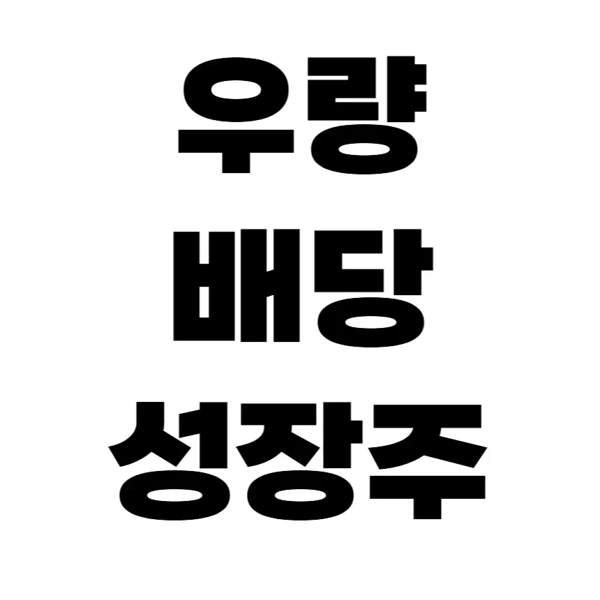 우량 배당 성장주 추천