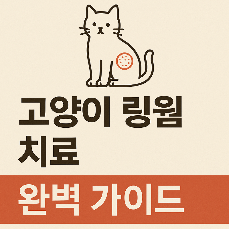 사람에게도 옮는다고?! 고양이 링웜 치료와 전염 예방법 완벽 설명