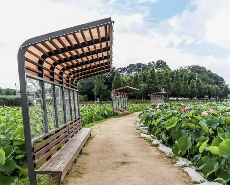 함안 가볼만한곳 베스트 10