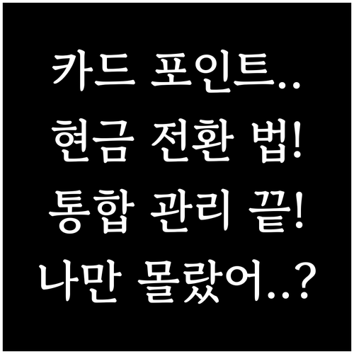 금융 자산 카드 포인트 통합 현금 전..
