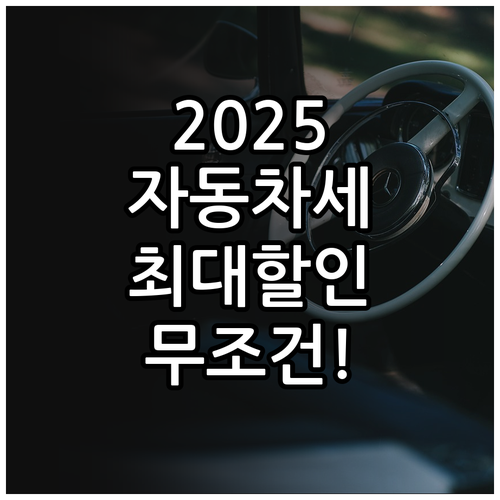 2025년 자동차세 연납 혜택과 차량..