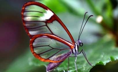 청년월세-특별지원-신청방법-수령-완벽-가이드