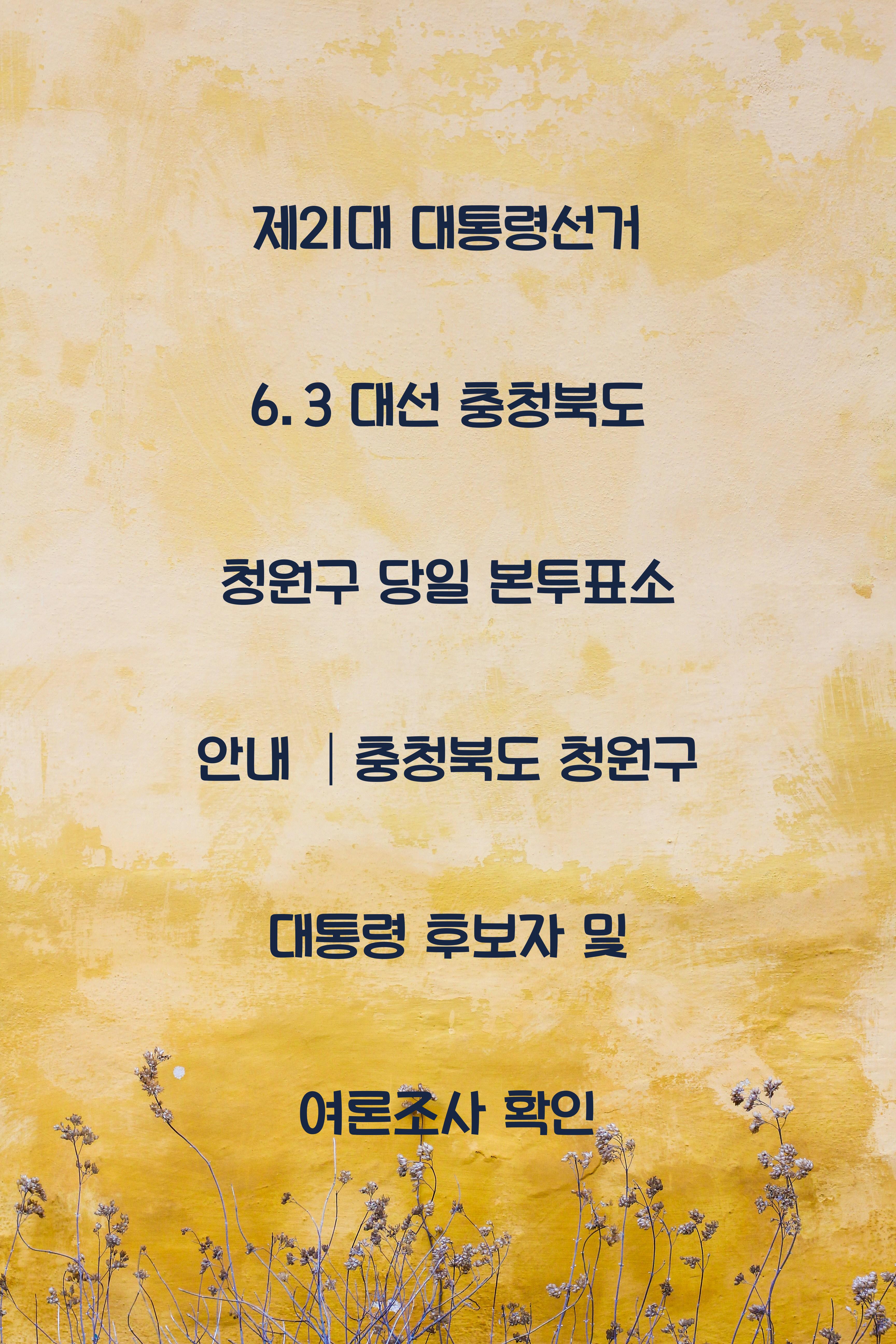제21대 대통령선거 6.3 대선 충청북도 청원구 당일 본투표소 안내 │충청북도 청원구 대통령 후보자 및 여론조사 확인