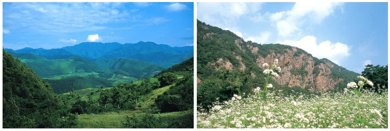 태화산 과 구병산 소개 사진