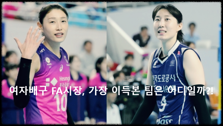 여자배구 FA시장