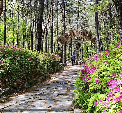 수리산 산림욕장 입구