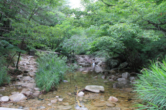 2025 여름휴가 계곡 추천 BEST 5 [+숨겨진 계속 명소]