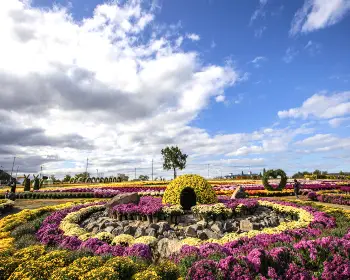연천 국화축제_26