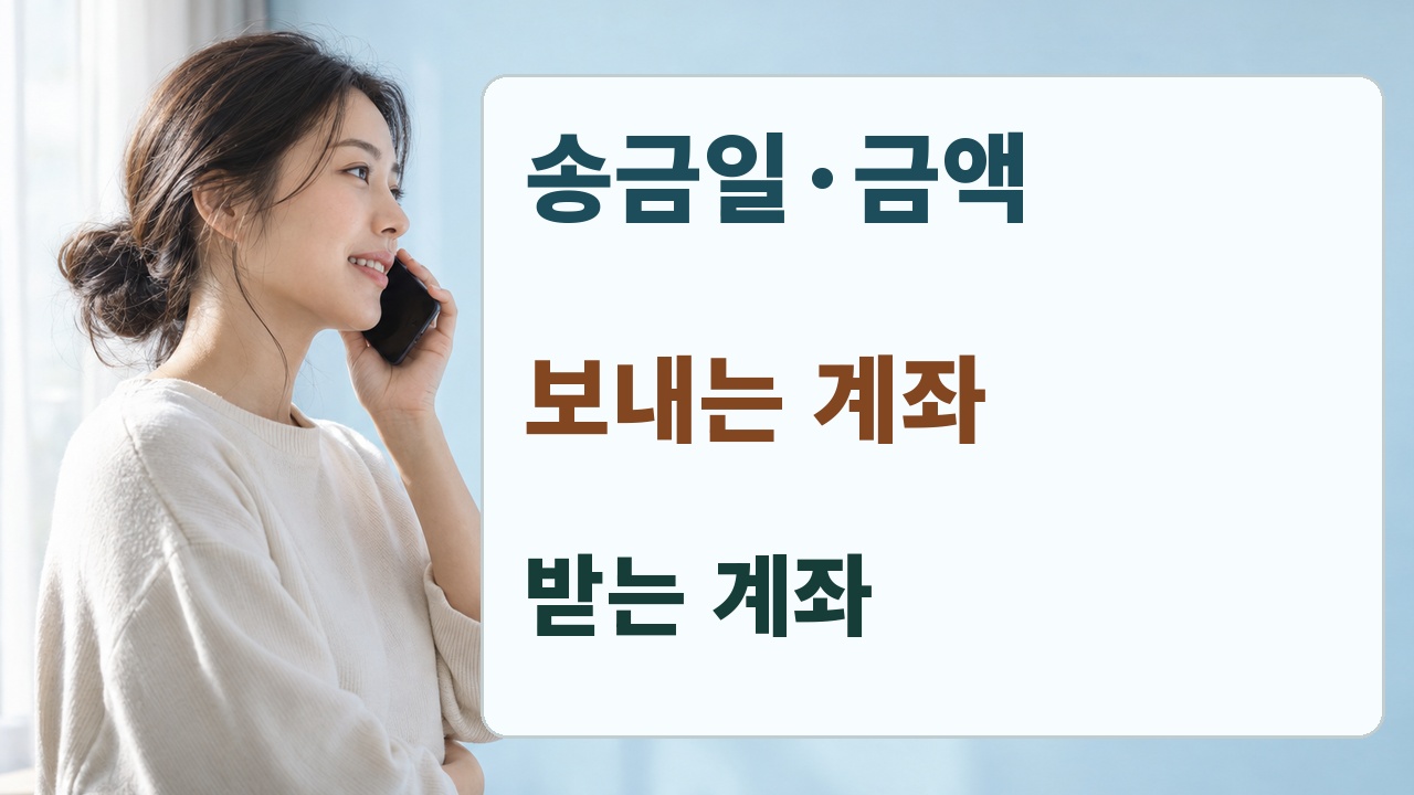 송금일과 금액, 보내는 계좌, 받는 계좌를 대조하는 확인 순서
