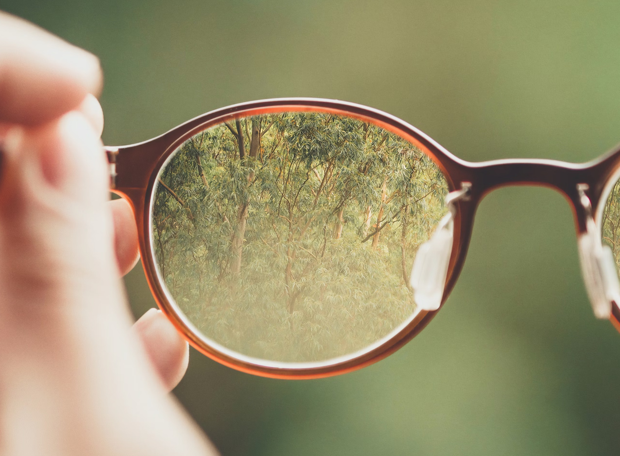 근시 난시 원시 약시 뜻