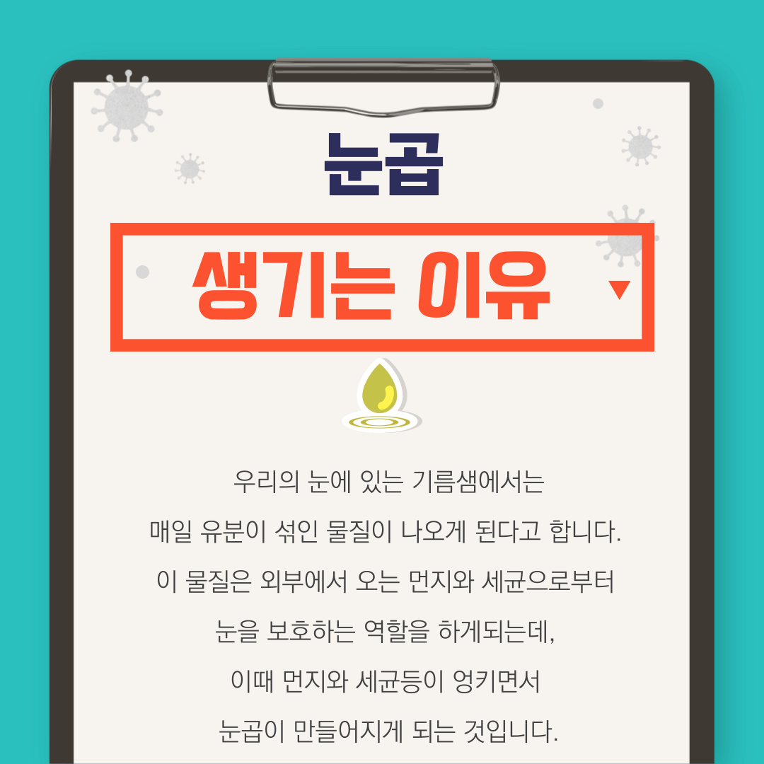 눈곱 끼는 이유: 눈곱 자주 끼는 이유