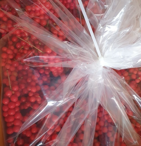 으뜸농원 오미자