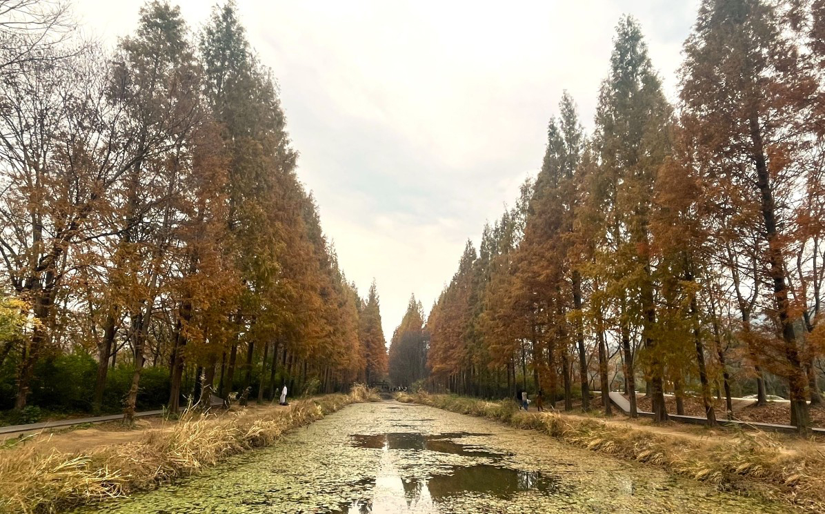 2025 건강도시 스탬프 투어