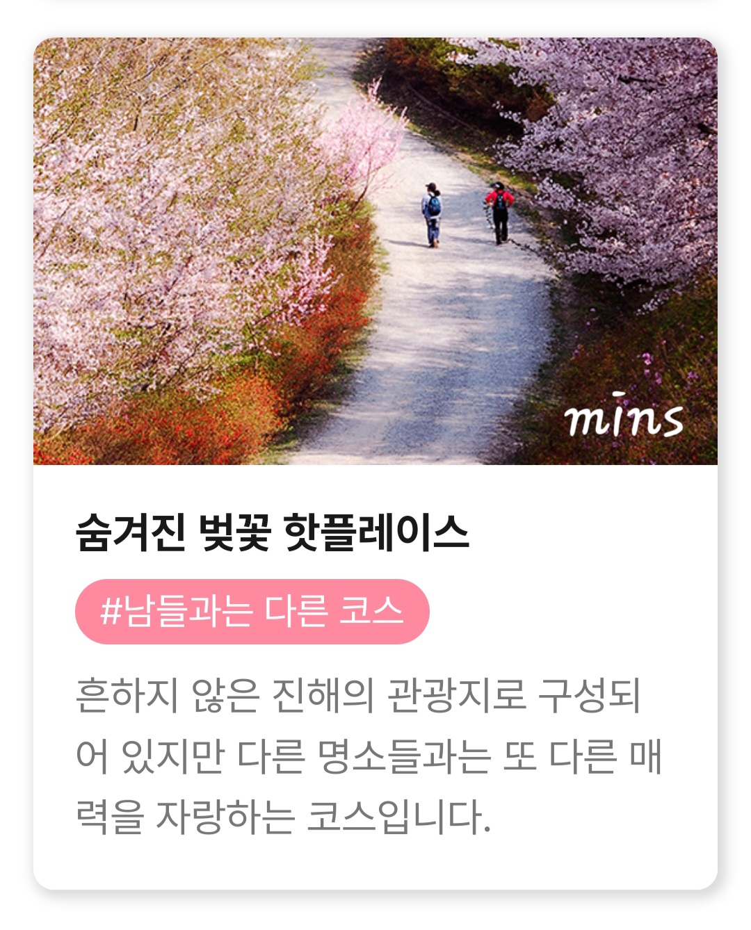 진해군항제 코스 추천