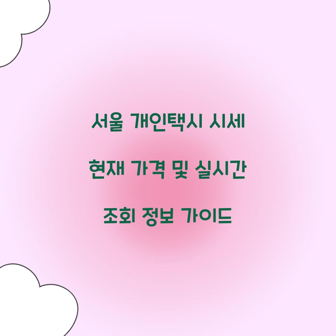 서울 개인택시 시세