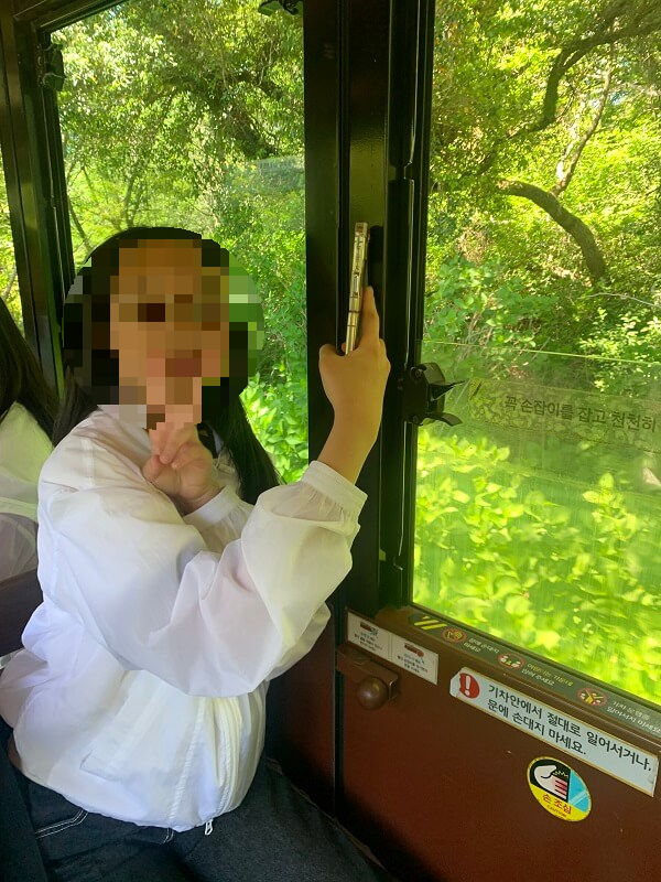 제주에코랜드 기차