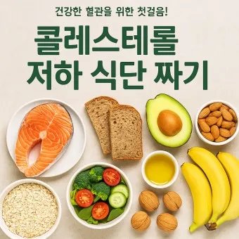 콜레스테롤 낮추는 음식 고지혈증 식단 좋은 기름 선택_25