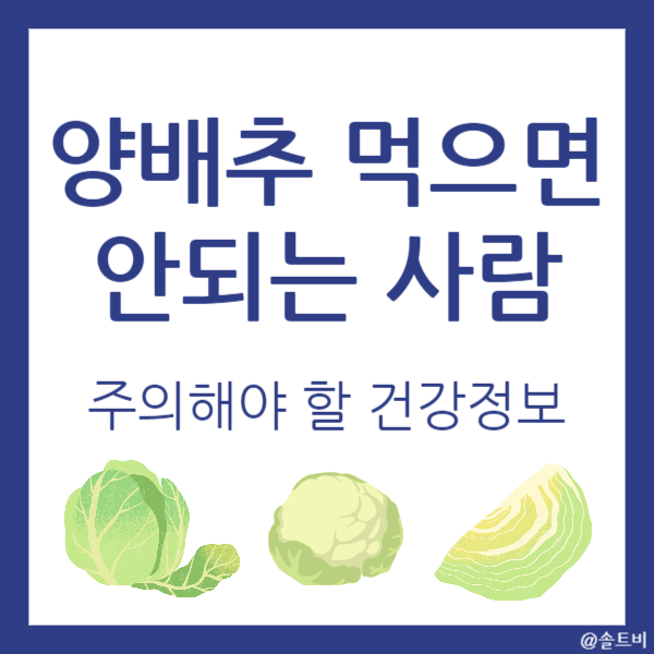 양배추 먹으면 안되는 사람은?