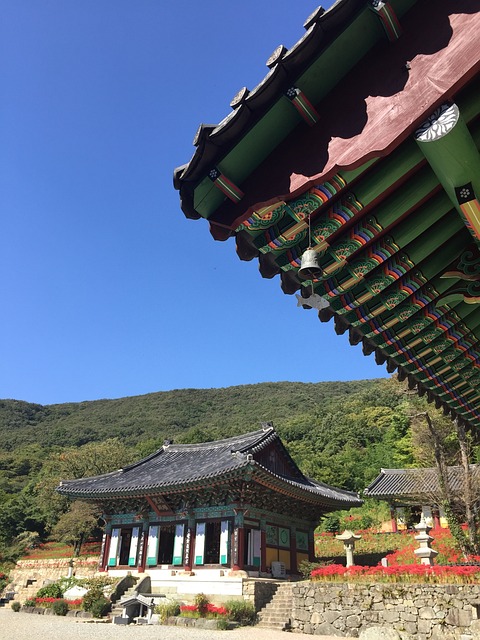 송광사 사진