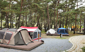 차박하기 좋은 곳