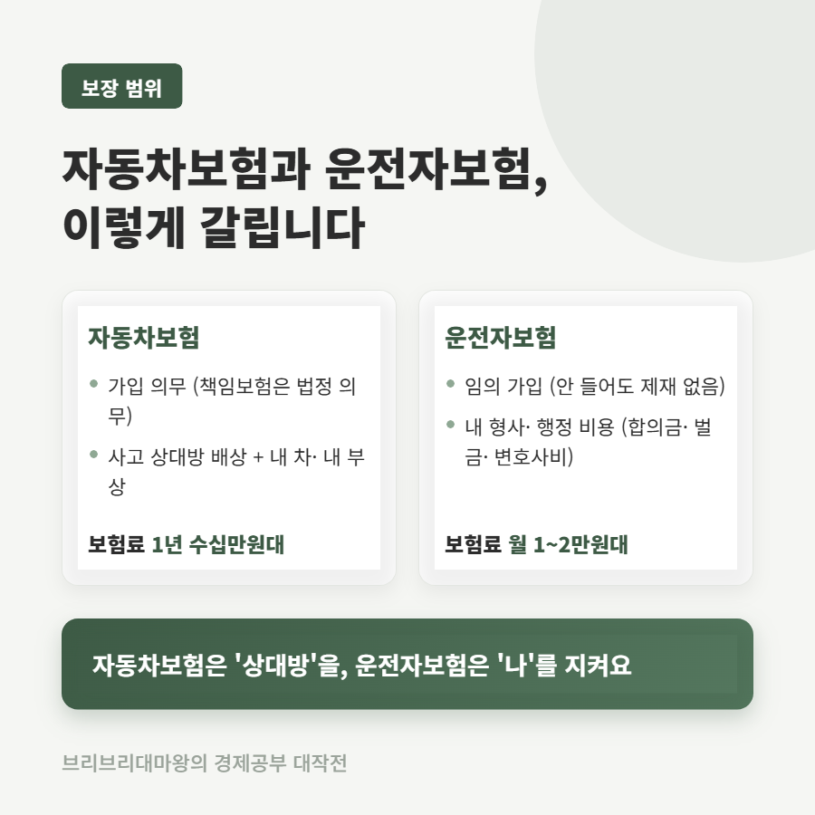 자동차보험 운전자보험 차이, 둘 다 필요한 걸까요