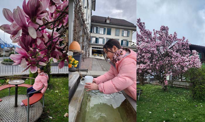 호텔 정원 가득한 꽃나무에서 봄을 즐기다 - Hotel Beausite Interlaken