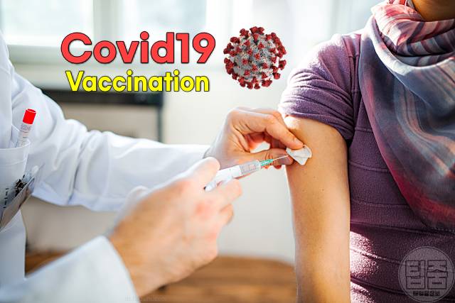 코로나19 예방접종 시기 부작용 비용 무료