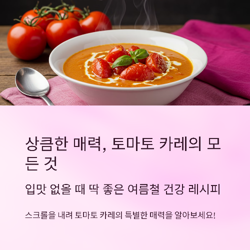 상큼한 매력, 토마토 카레의 모든 것