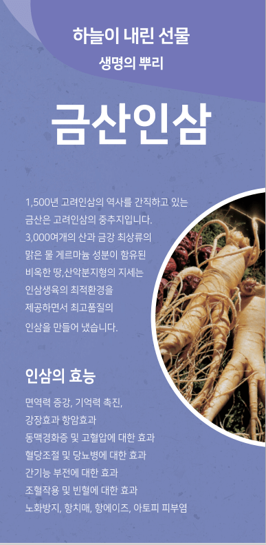 인삼 효능2