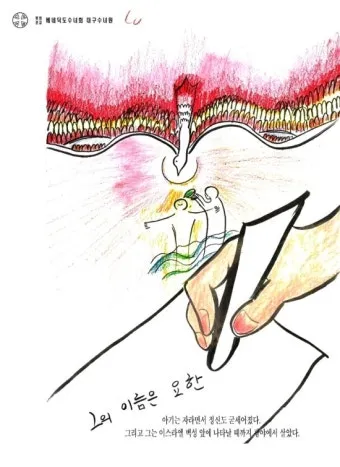 6월 24일 세례자 성 요한 탄생 대축일의 특별함_22