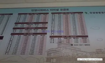 단양 시외버스터미널 시간표 예매 요금표_24