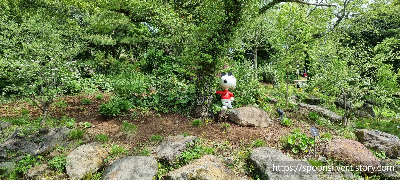 제주스누피가든