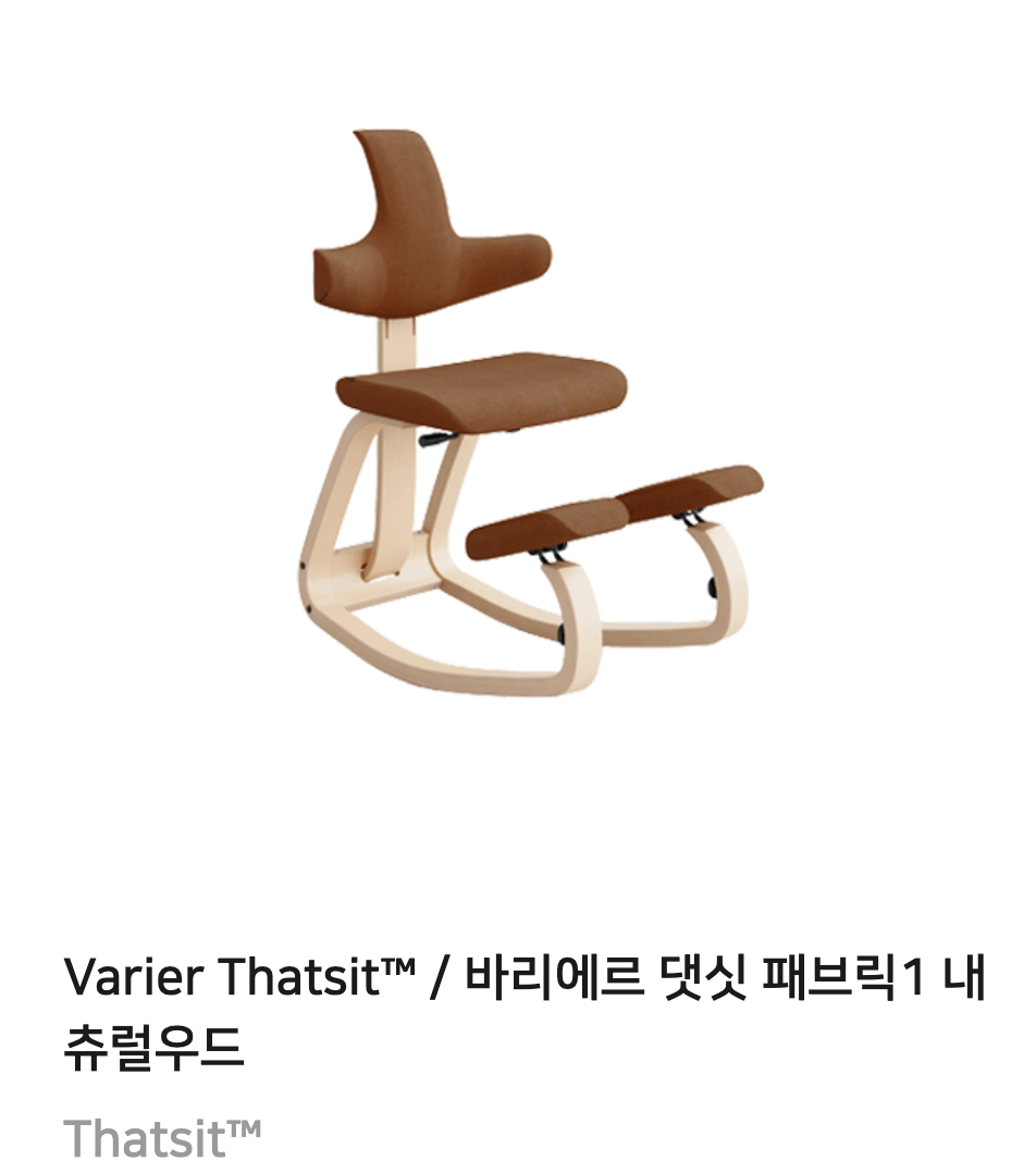Varier 바리에르 의자 장시간 디스크 척추 자세교정 무릎의자