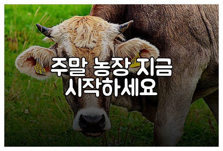 주말 농장 지금 시작하세요