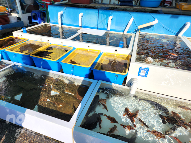 묵호항-활어판매센터