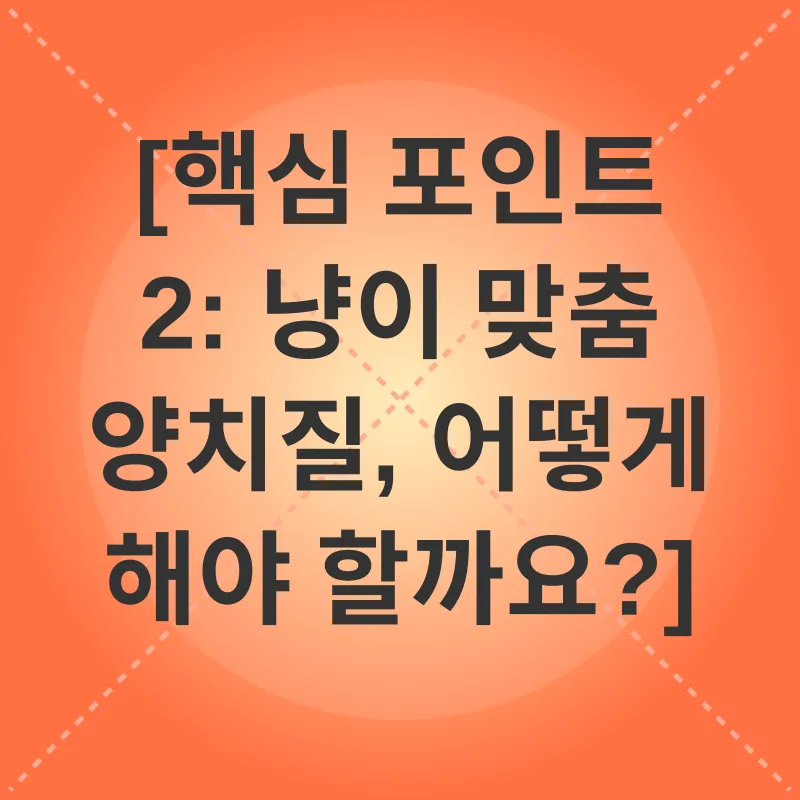 고양이 치아 관리_2