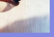 전기세&middot;기름값 아끼고 혜택까지! 2025 서울시 에코마일리지 지금 시작하세요