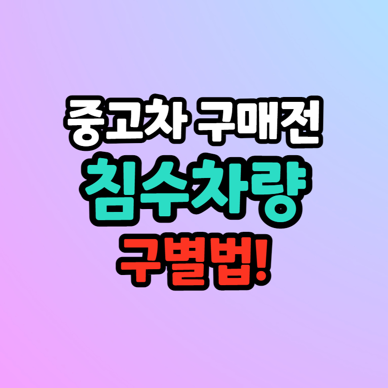 침수차 구별법 체크리스트