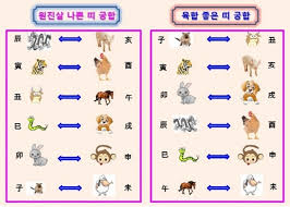 2026년 돼지띠 운세 가이드